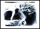Dras Piotr - FOTO ART MAGAZINE