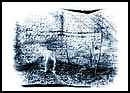 Dras Piotr - FOTO ART MAGAZINE